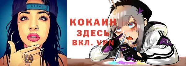 дживик Абаза