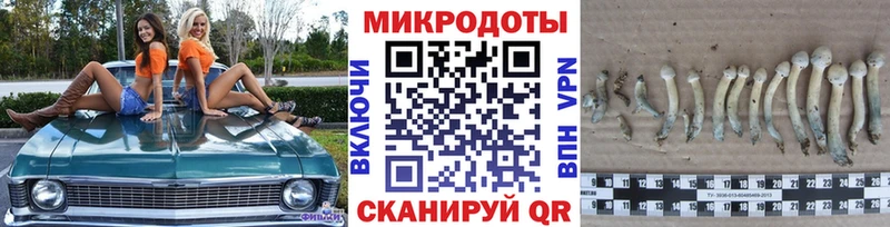 Галлюциногенные грибы Psilocybe  купить наркоту  Липецк 